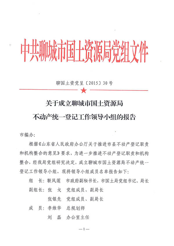 关于成立聊城市国土资源局不动产统一登记工作领导小组的报告